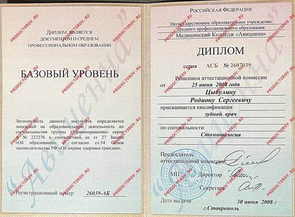 Цыбулин Родион Сергеевич, документ 1