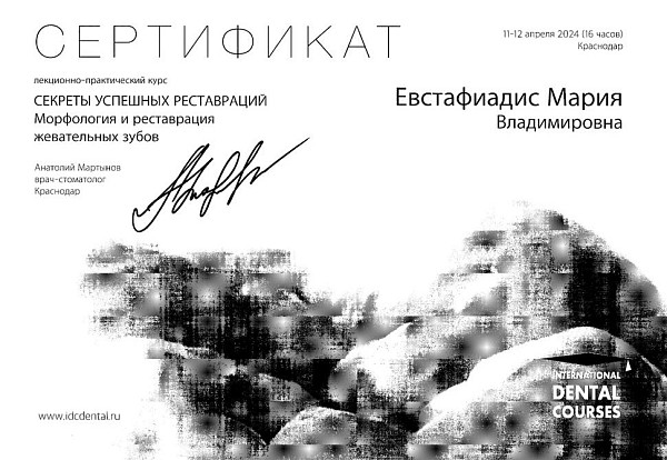 Морфология и реставрация жевательных зубов