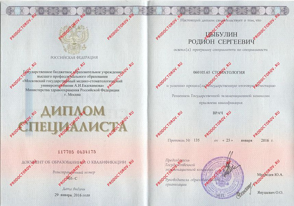 Цыбулин Родион Сергеевич, документ 2